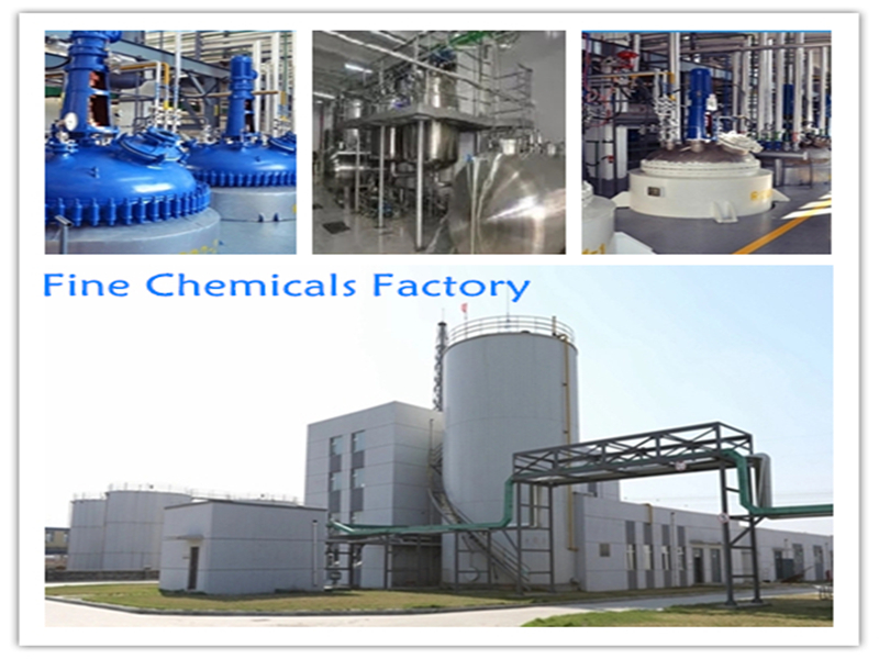 Fine chemicals factory