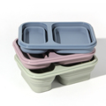 Spot Outdoor Folding Microwave Bento φορητό κιβώτιο σιλικόνης διαιρεμένο πλέγμα μεσημεριανό κουτί Χονδρικό1