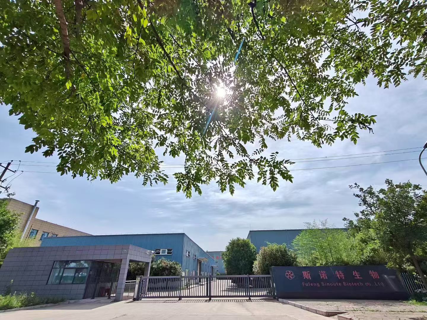 Fufeng Sinuote Biotechnology Co.,Ltd.