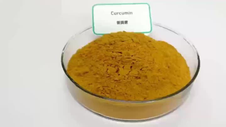 Curcumin 95% Extrakt