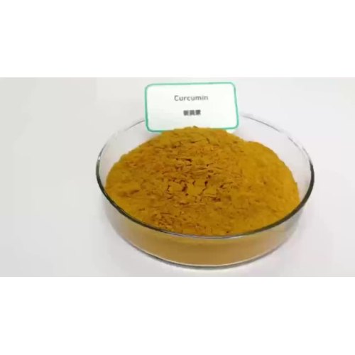 Curcumin 95% Extrakt