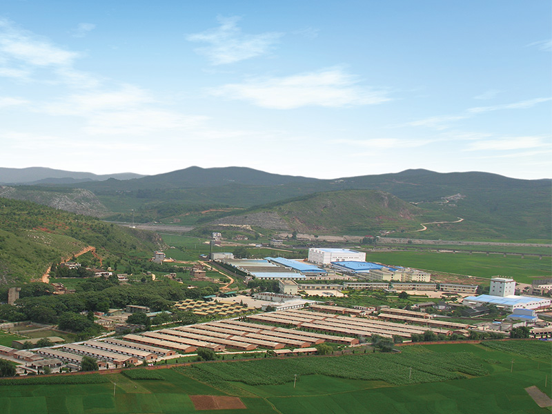 Yunnan Dongheng Economic and Trade Group Food Co., Ltd.