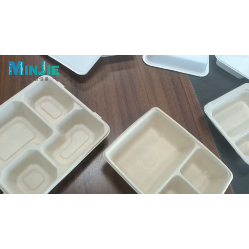 ढाला फाइबर लंच बॉक्स