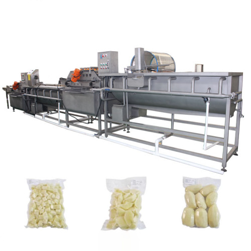 Vegetable washing machine