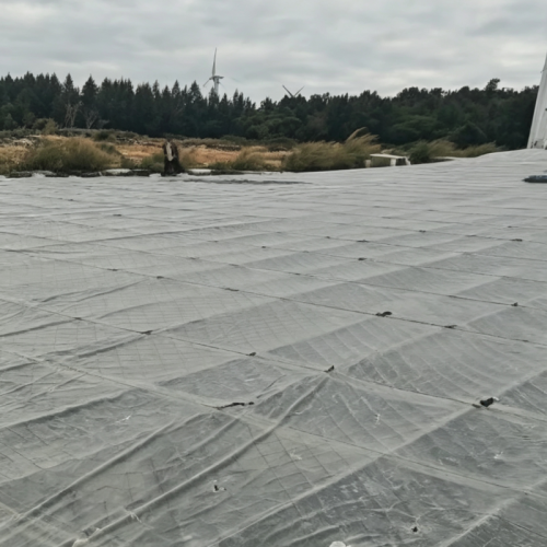 Jiangsu Zhixin Plastic Technology Co., Ltd.'den Uzun Ömürlü Damlama Önleyici Film Su Ürünleri Yetiştiriciliğinde Yaygın Olarak Kullanıldı