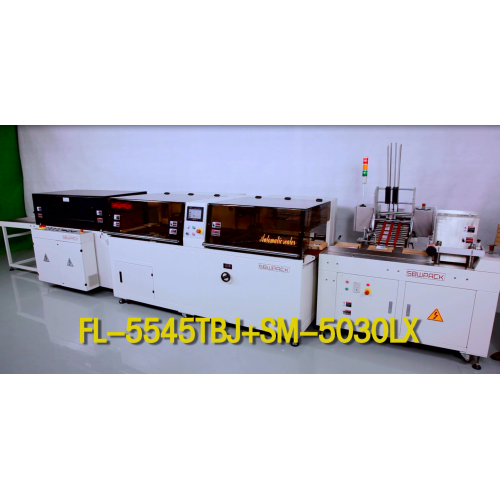 All Servo Continuous Motion Side Sealer