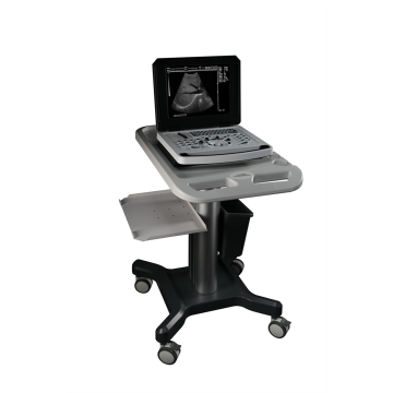 Top 10 Obstetrical Examination Instrument Manufacturers