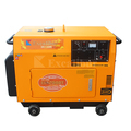 5000 Watt Lester Silent Electric Diesel Generator Parts1