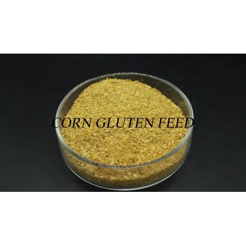 corn gluten feed 