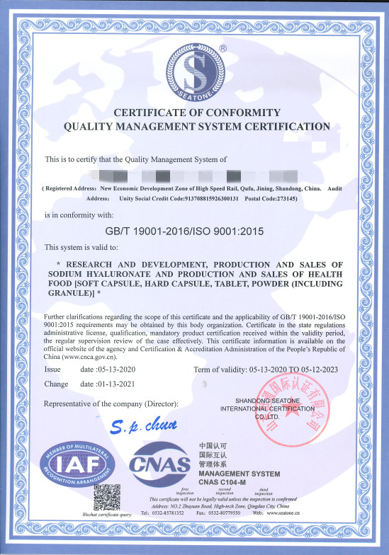 ISO 9001