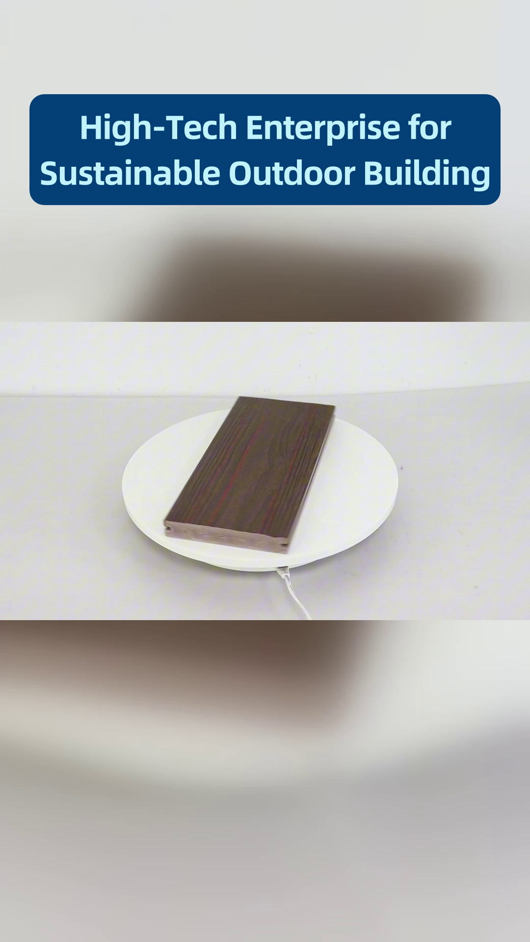 (101)