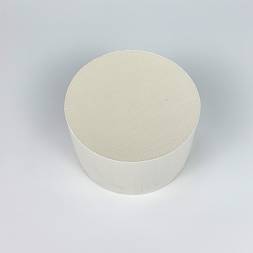 Ceramic honeycomb catalyst