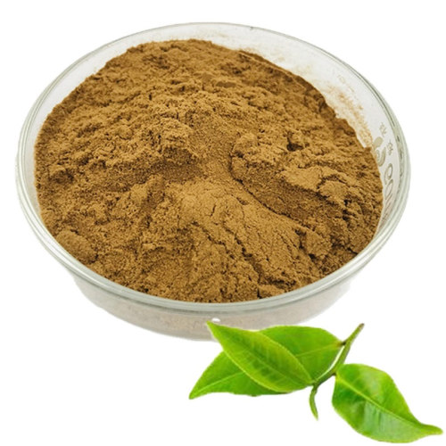 The Benefits And Risks Of Green Tea Extract Powder With Caffeine