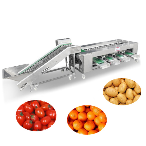 ST-FS2 Tomato Sorting Machine