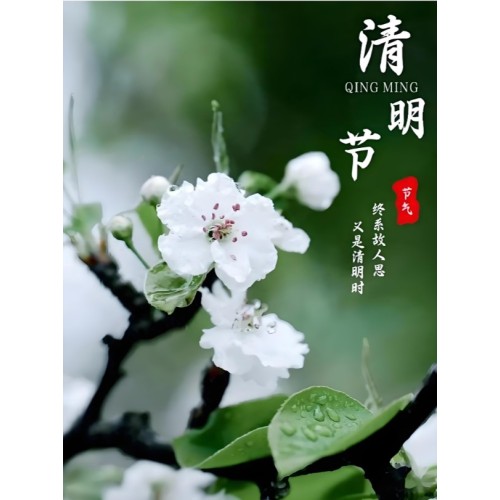 Aviso sobre el feriado del Día de Limpieza de Tumbas de 2026 / Aviso sobre el Festival de Qingming de 2026