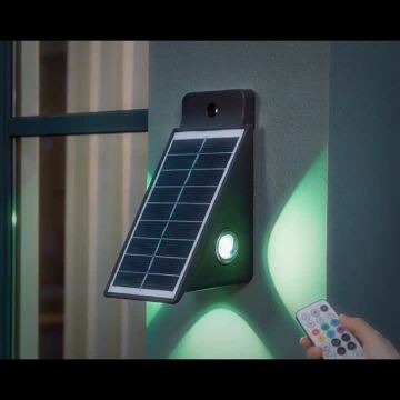 Classic Private Mold Solar Wall Light