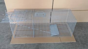Live Animal Catch Cage Traps For Sales Rats Mouse Possums Raccoons Rabbits Birds Dogs Crows Tiger Wild Boar China Supplier1