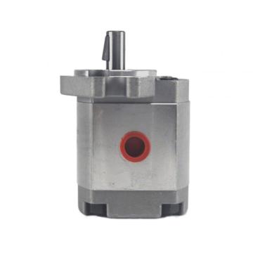 List of Top 10 Hgp Series Gear Pump Brands Popular in European and American Countries