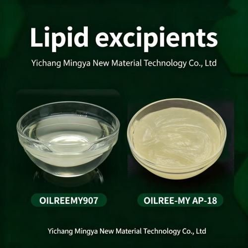 Enhancing Skin and Hair Care with OILREE® Lipid Excipients