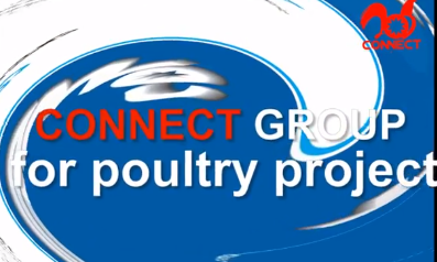 CONNECT full automatic poultry processing line