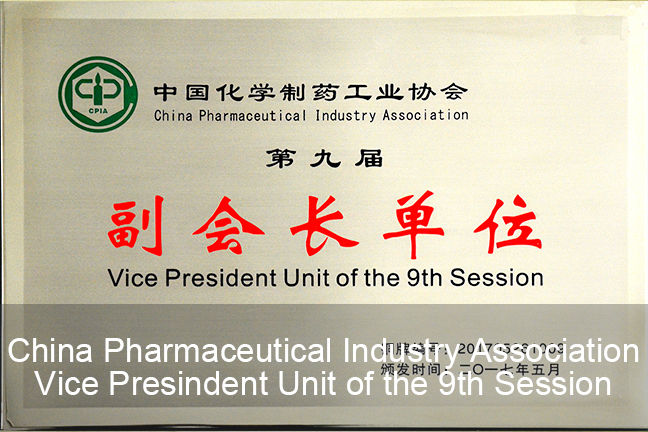 Vice President Unit of China Pharmaceutical Industry Association