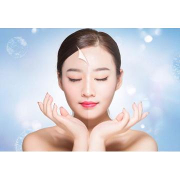 Ursolic acid powder of a new star in natural whitening and anti-aging