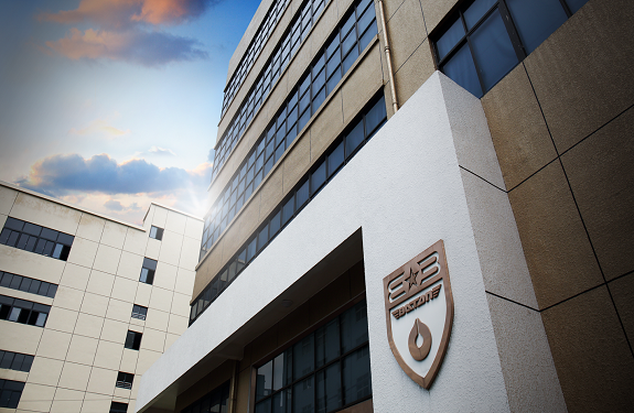 Wenzhou Baton Electronic Technology Co., Ltd.