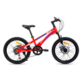 20 Inch Magnesium Alloy 7 Speed Double Disc Brake Children's Bicycle1