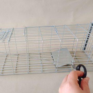 Asia's Top 10 Living Catch Mouse Traps Brand List