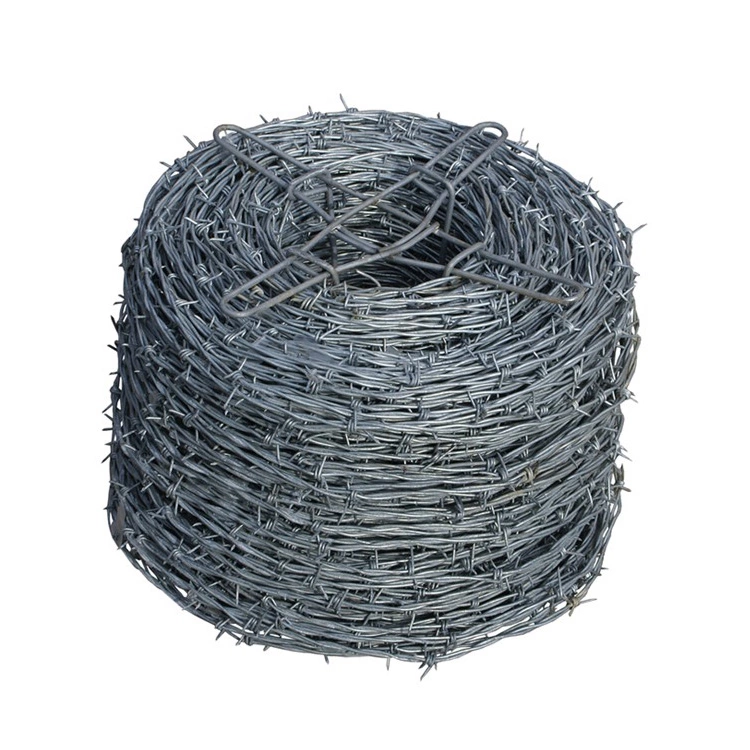 barbed wire 