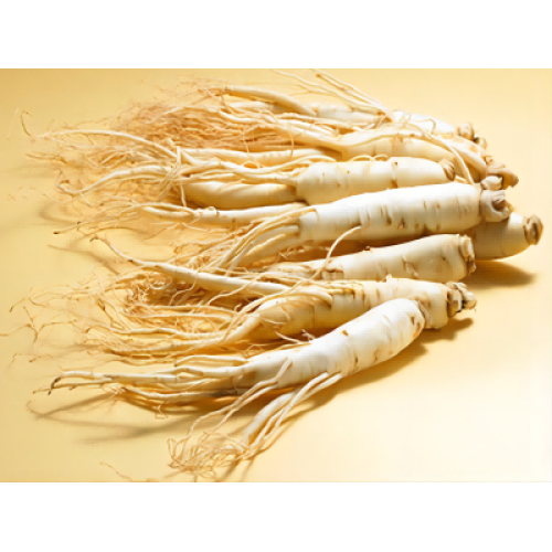 Ginseng e seu plano de serviço de qualidade e segurança do produto