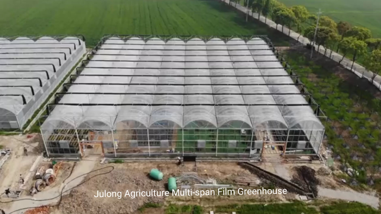 Greenhouse de laitue en plastique multipan de style chinois avec système hydroponique vertical à vendre1