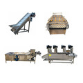 Customizable Industrial Fruit and Vegetable Washer, Dryer, Cooler, and Conveyor Machine with Bubble Spray Cleaning Technology1
