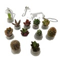 Plant Fun: Baby Alive Plant Cactus Cell Phone Succulent Pet Keychain1