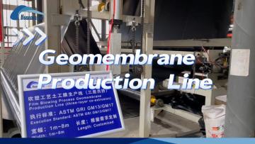 Geomembrane production line
