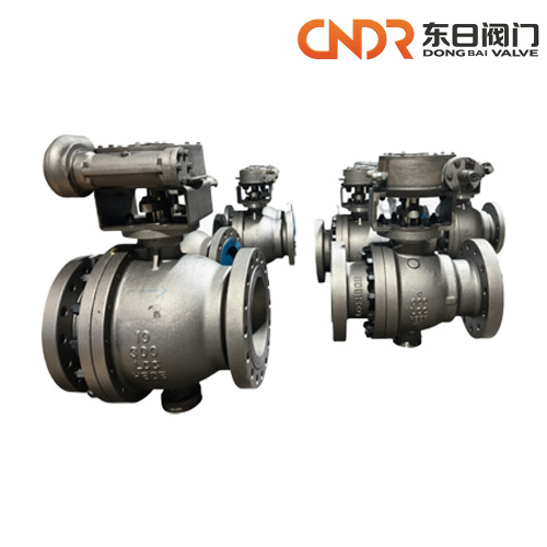 Zhejiang Dongri Valve: A Trusted Name in Precision Valve Manufacturing Since 1996