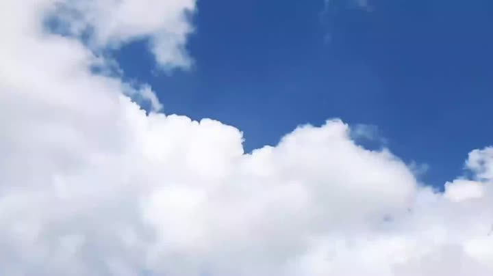 Введение в Yaoxian Company