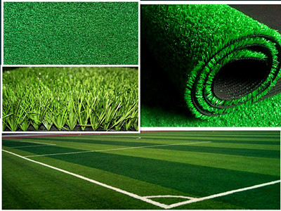Shijiazhuang ZaiXi Trading Co.,Ltd.