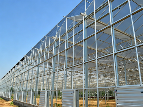 Hunnan District Modern Agricultural Technology Demonstration Park - Glass Greenhouse Project