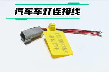 Automotive Lighting Wiring Harness