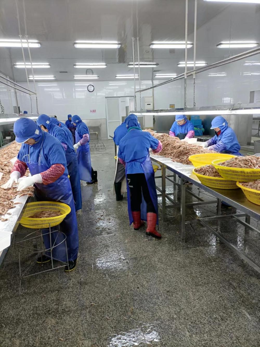 ZHEJIANG EVERNEW SEAFOOD CO.,LTD