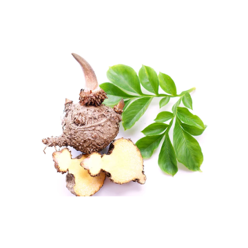 What Is Glucomannan?