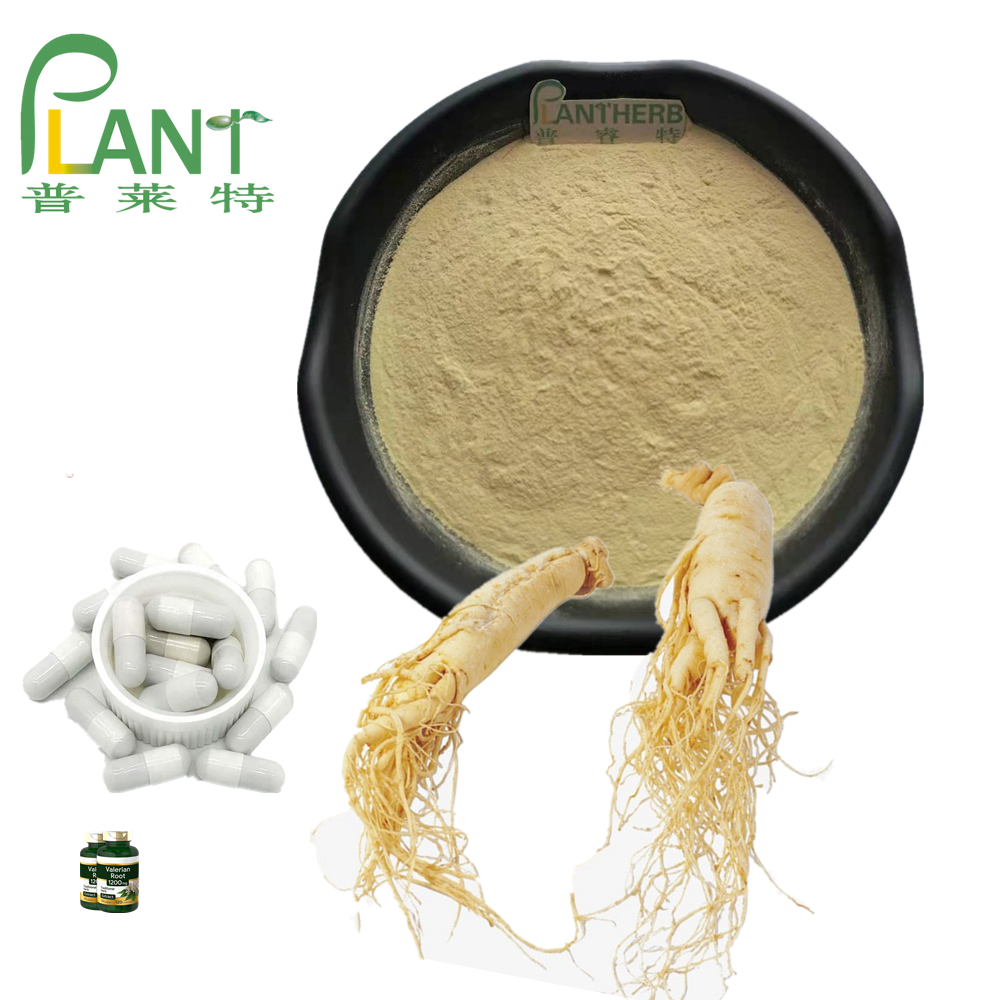 Poudre de racine d&#39;extrait de ginseng panax