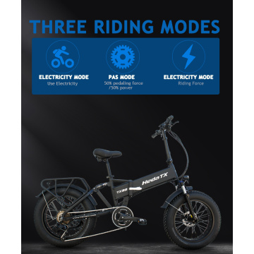 Top 10 China Folding Ebike Manufacturers