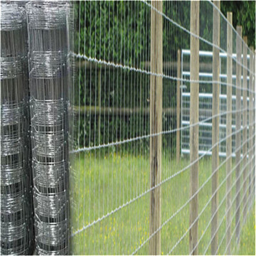 Top 10 China Farm Fence Manufacturers