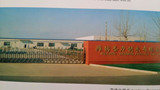 SHANDONG WEIFANG QILI INTERNATIONAL TRADE CO.,LTD