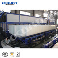 15 Ton Direct Block Ice Maker with Ice Moving Device - Labor Saving1