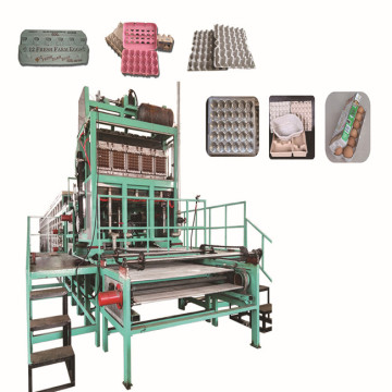 fruit tray forming machines