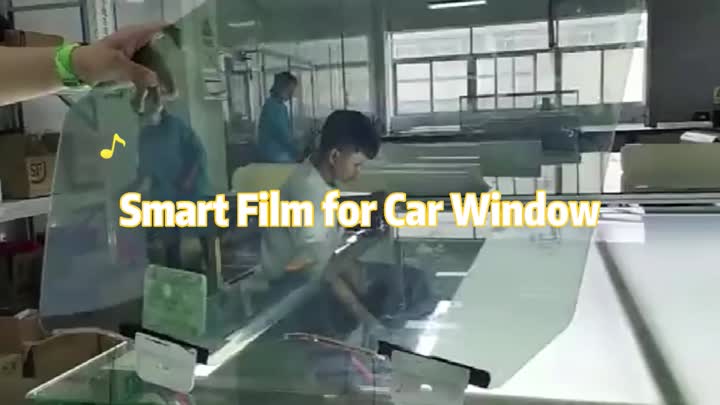 Automotive Privacy Film