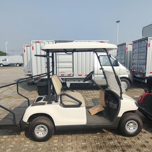 Things to note when purchasing Golf Cart